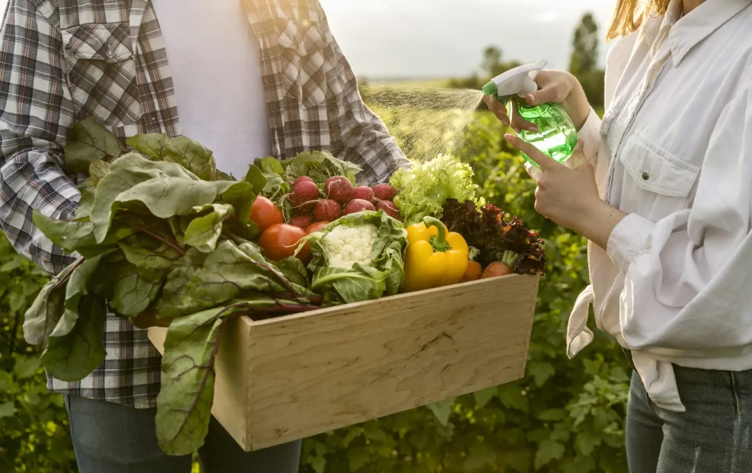 close-up-basket-vegetables