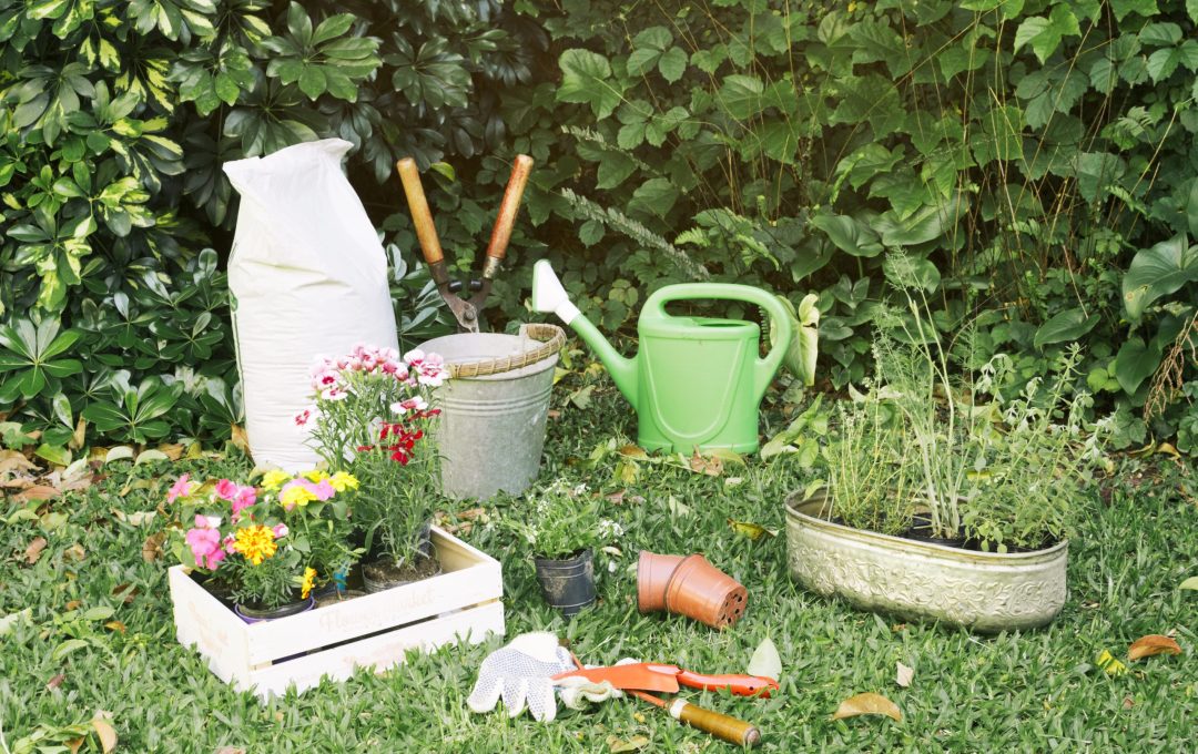 gardening-inventory-with-flowerpots-grass